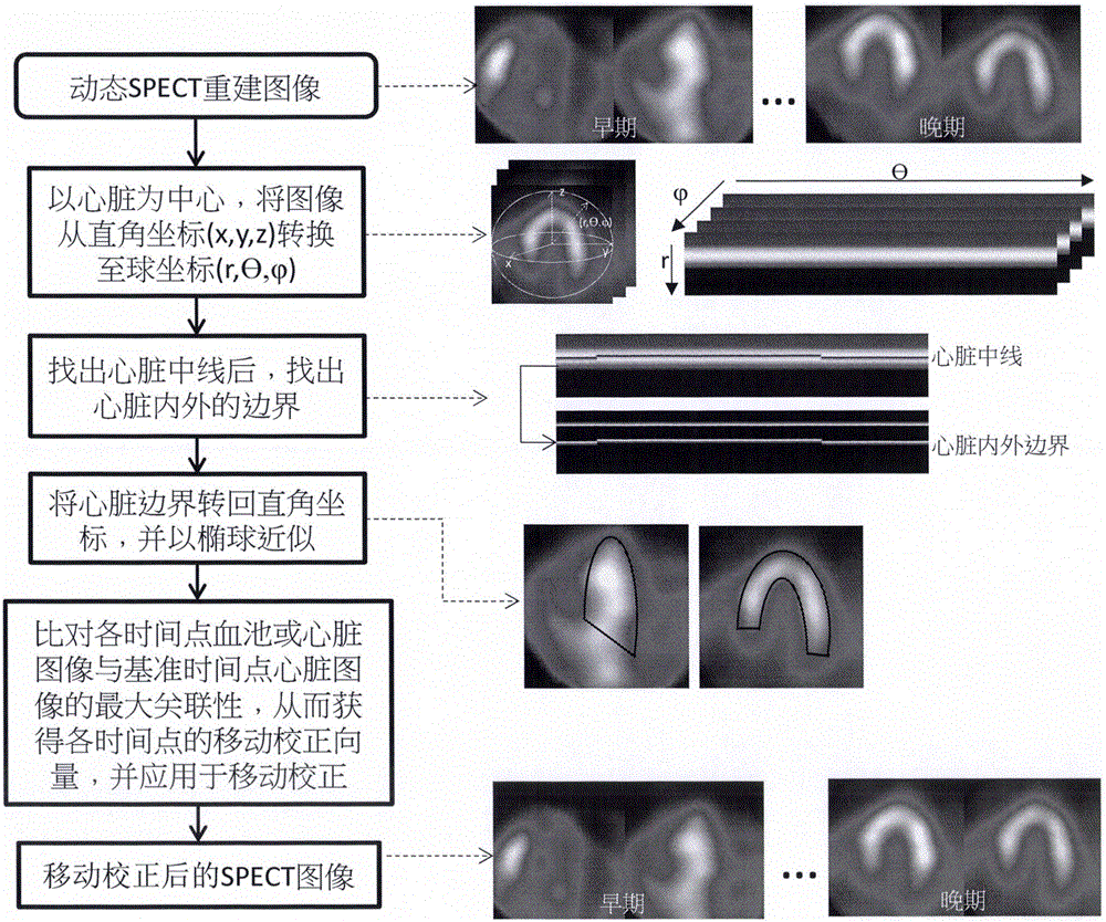 Multi-pinhole and single-photon SPECT myocardial blood flow absolute quantification method and application