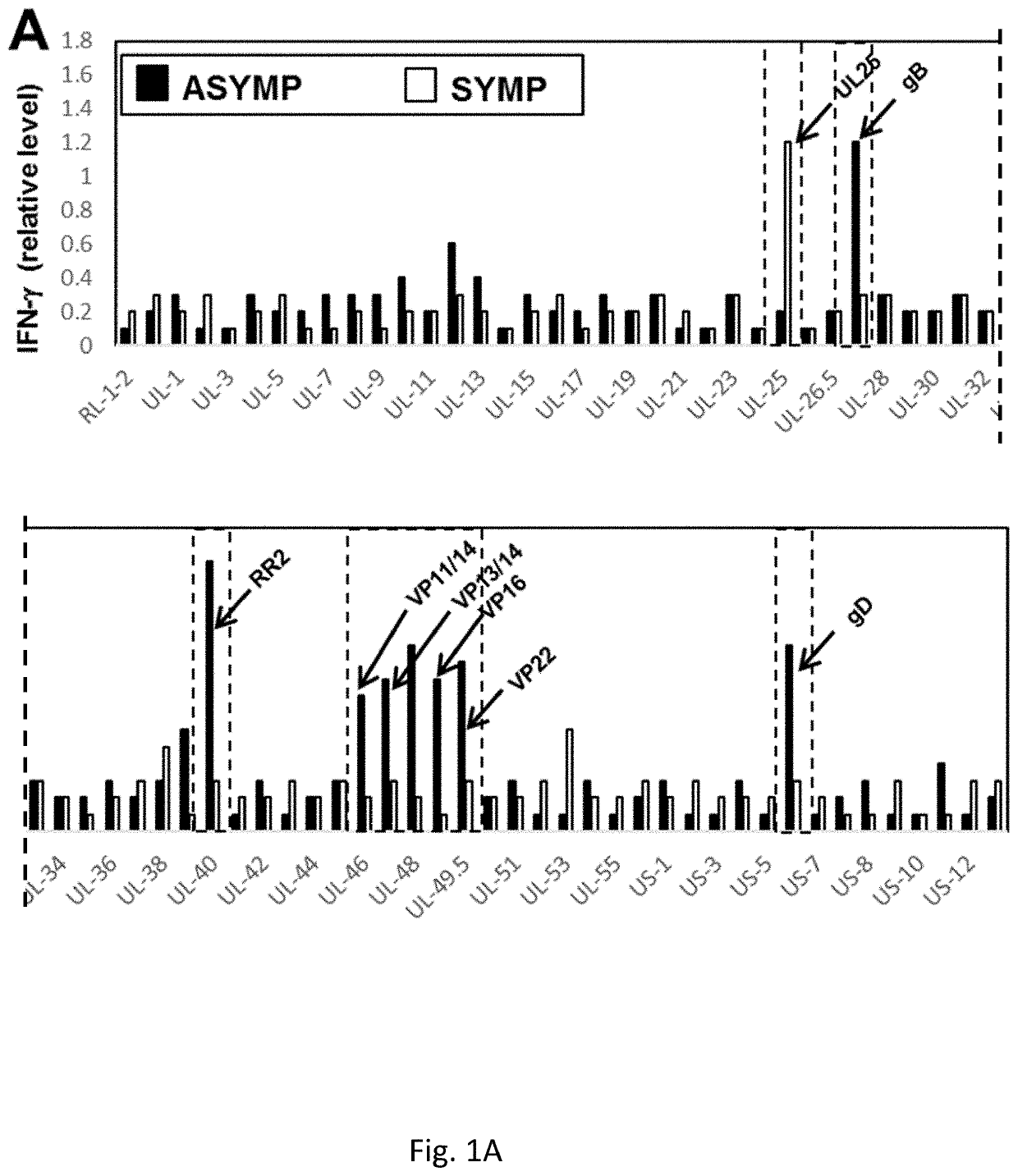 Protection Against Recurrent Genital Herpes by Therapeutic Immunization with Herpes simplex virus type 2 Ribonucleotide Reductase Protein Subunits