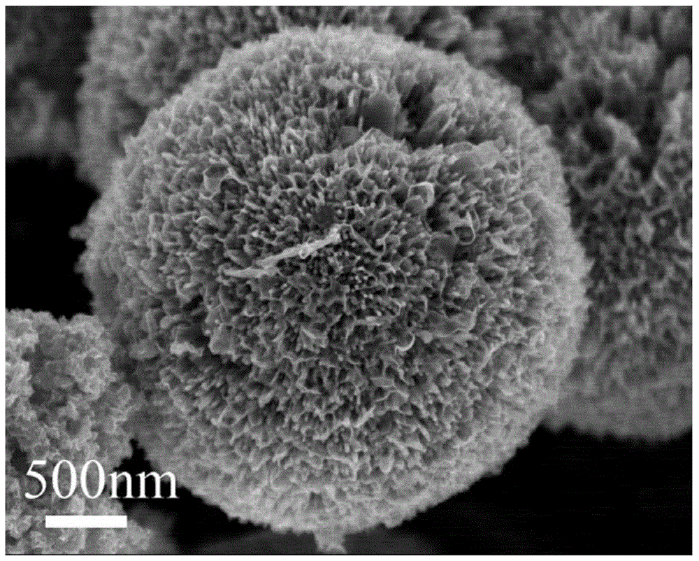 wavy mos  <sub>2</sub> Nanosheet inlaid dandelion tio  <sub>2</sub> Nanosphere composite heterojunction semiconductor material and preparation method thereof