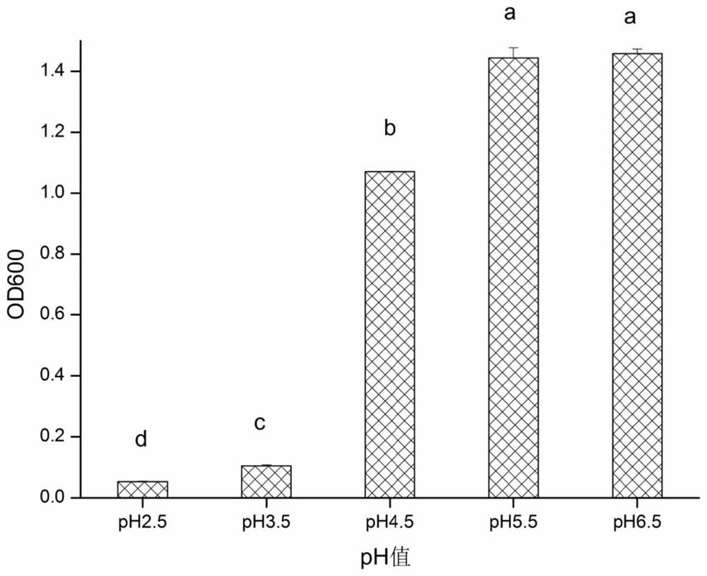 Lactobacillus plantarum cq02-108 and its application in the preparation of fermented sausage