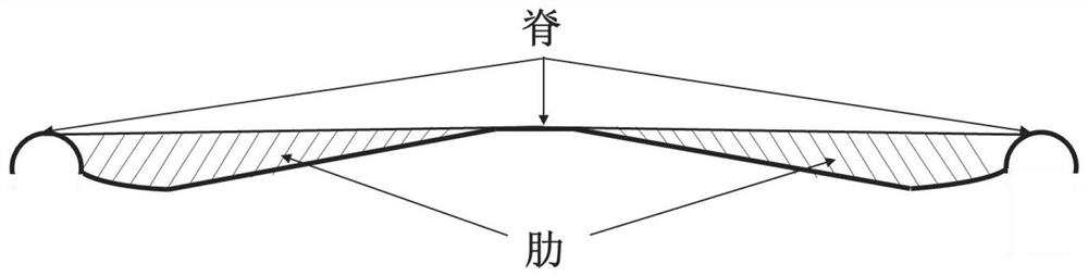 Snow-dredging ridge rib-shaped microstructure imitating fargesia qinlingensis leaves