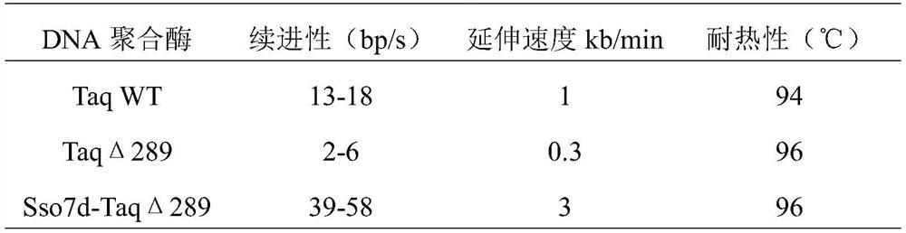 Recombinant thermostable dna polymerase and its application