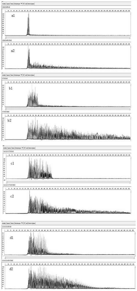 Recombinant thermostable dna polymerase and its application