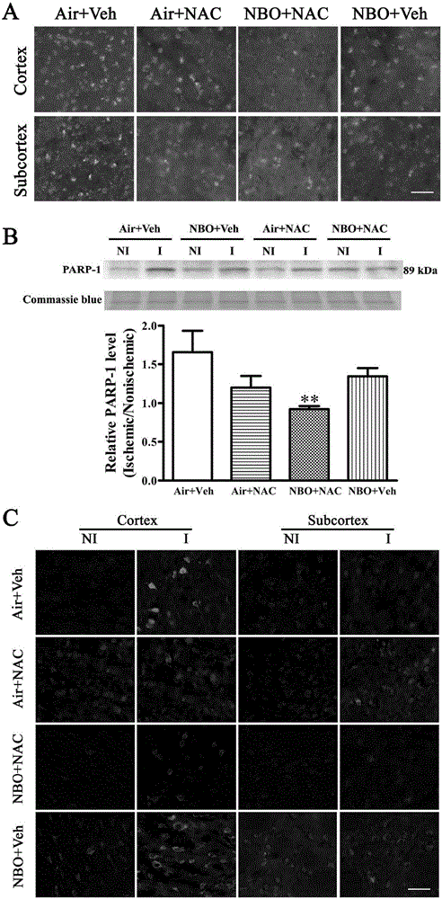 Medicine composition and application thereof