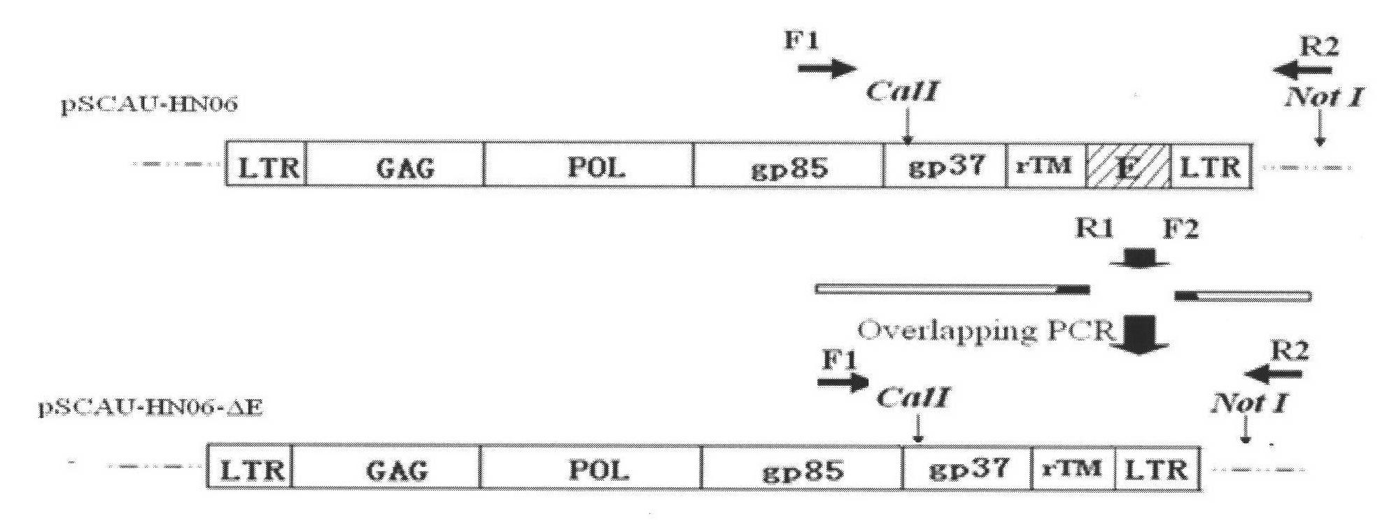 Hemangioma pathotype J subgroup avian leucosis mutant virus strain and construction method thereof