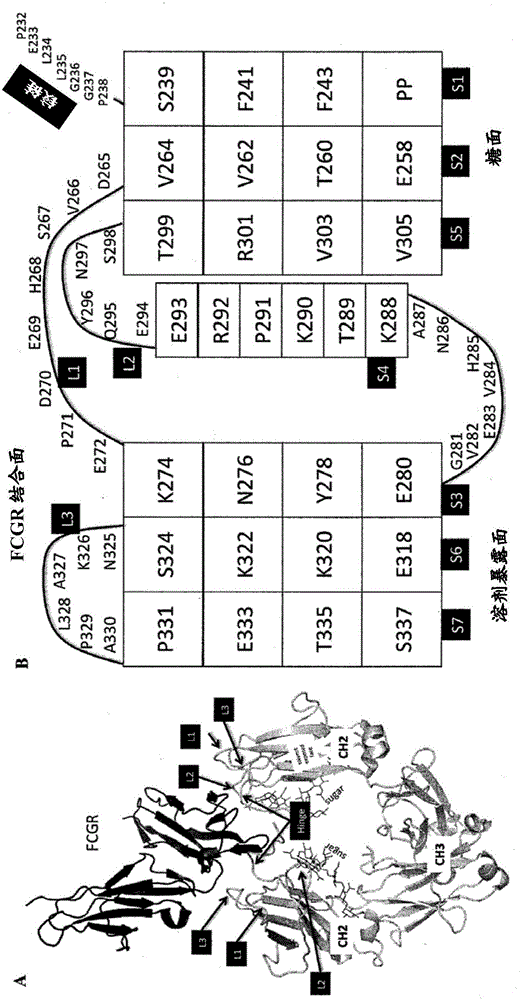 Heteromultimers with reduced or silenced effector function