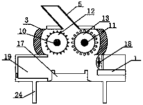 Camellia seed shell breaking device with washing function