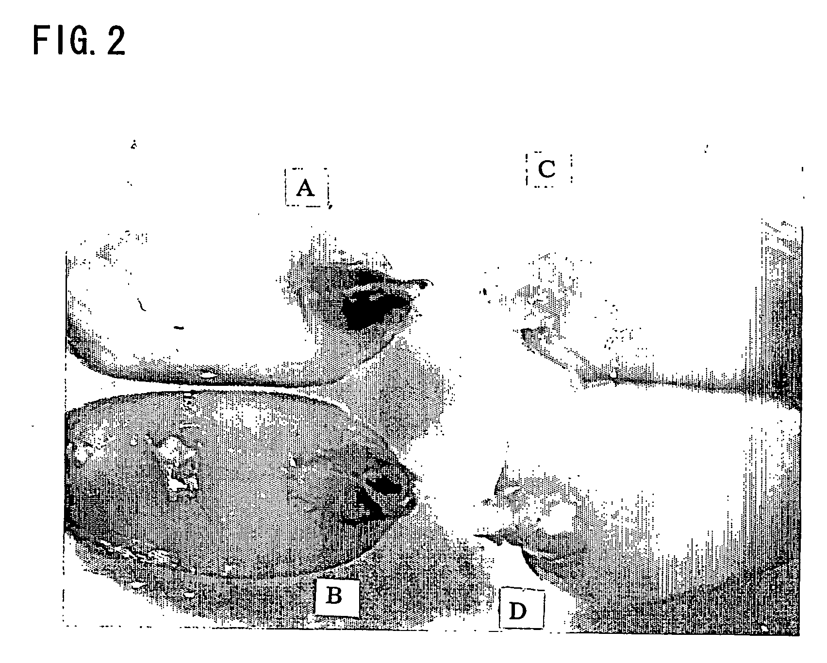 Electroporation method including the use of depressurization/pressurization