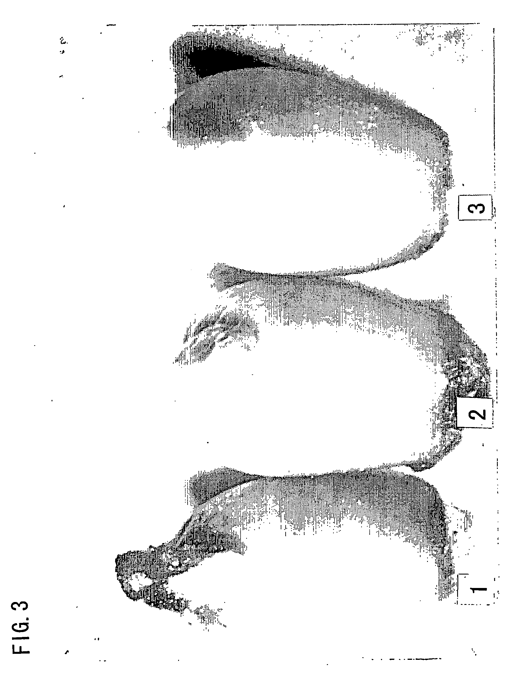 Electroporation method including the use of depressurization/pressurization