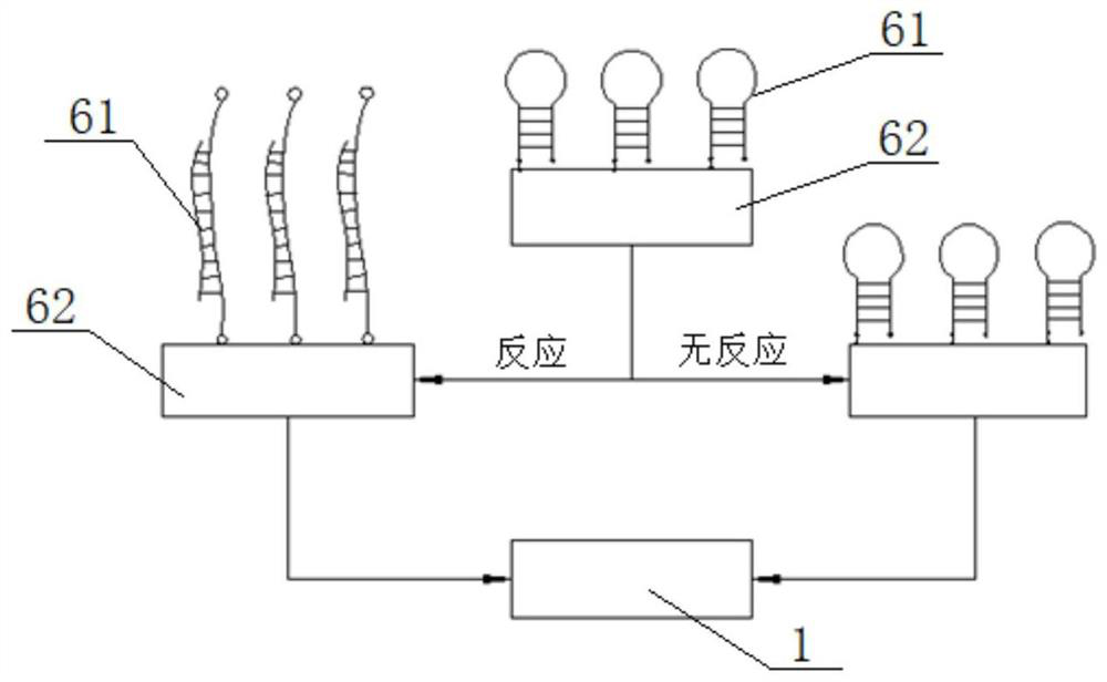 Verification equipment and method of DNA biosensor for water pollution detection