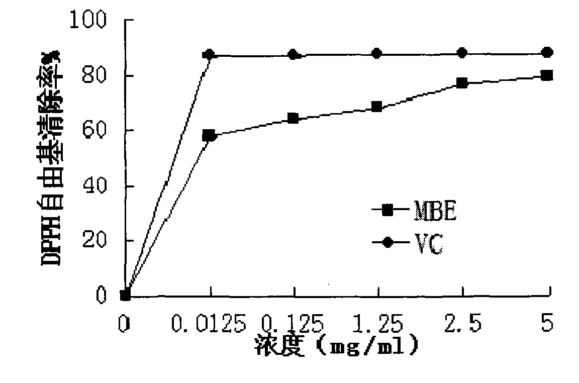 Method for preparing malus baccata leaf alcohol extract, and antioxidation and liver protection effects thereof