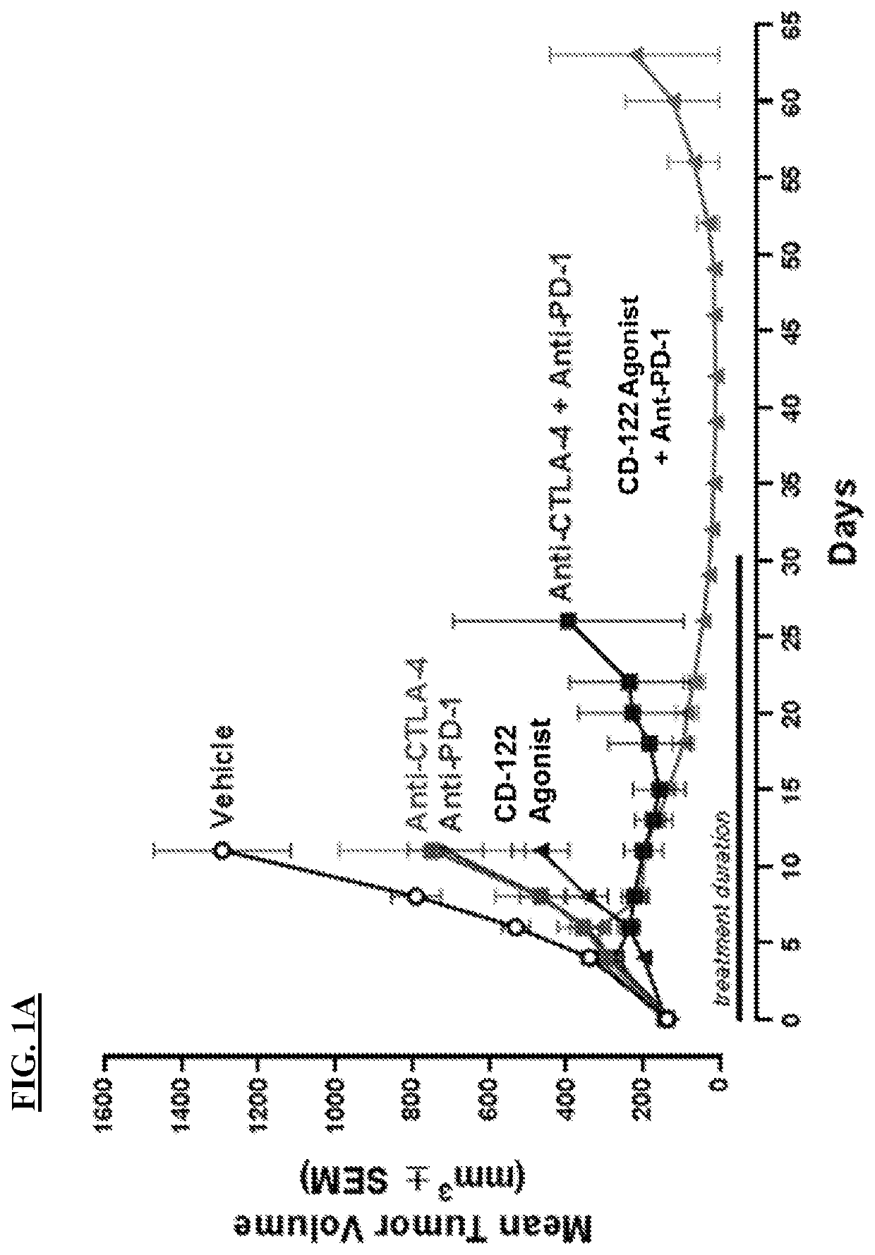 Methods of treating a tumor