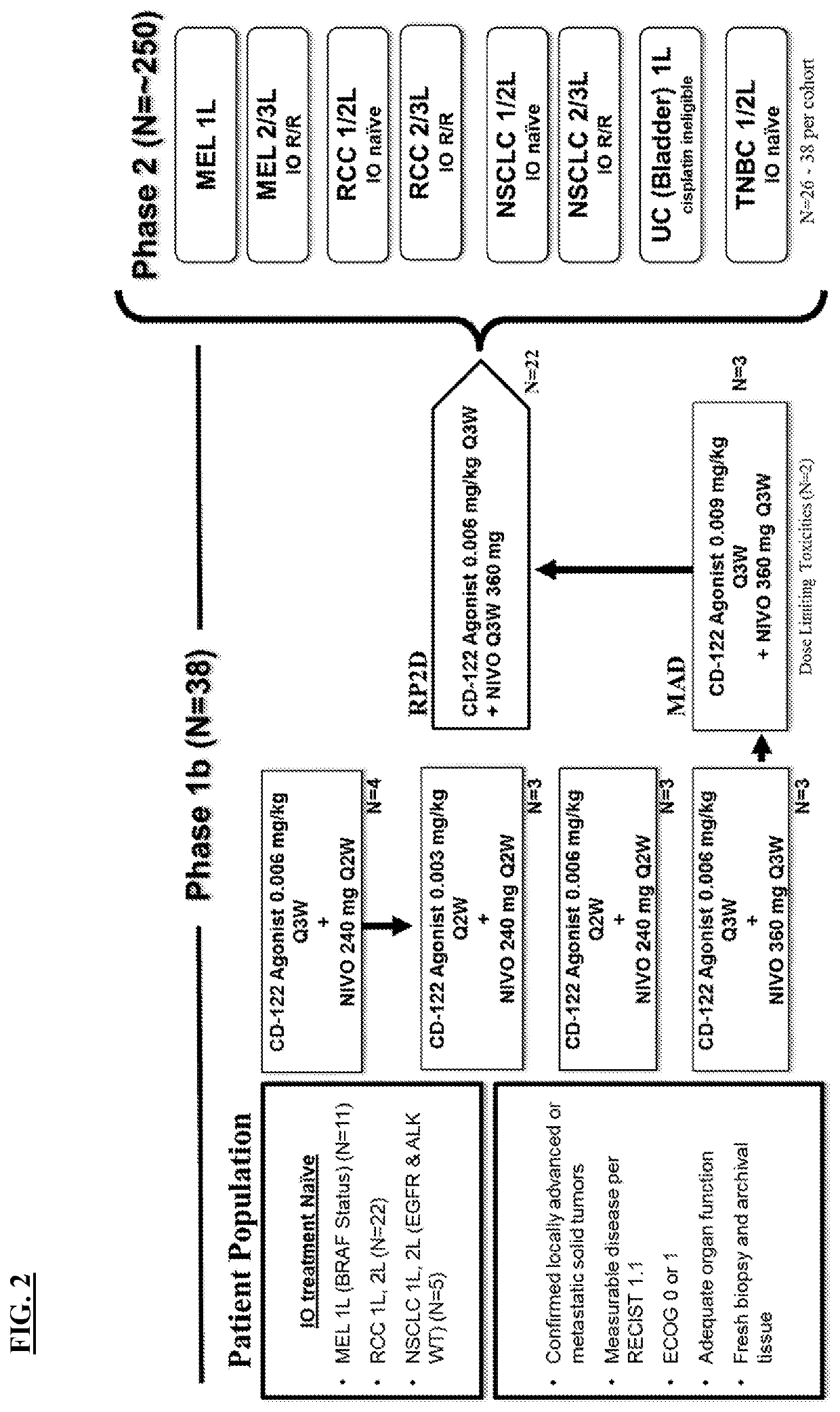 Methods of treating a tumor