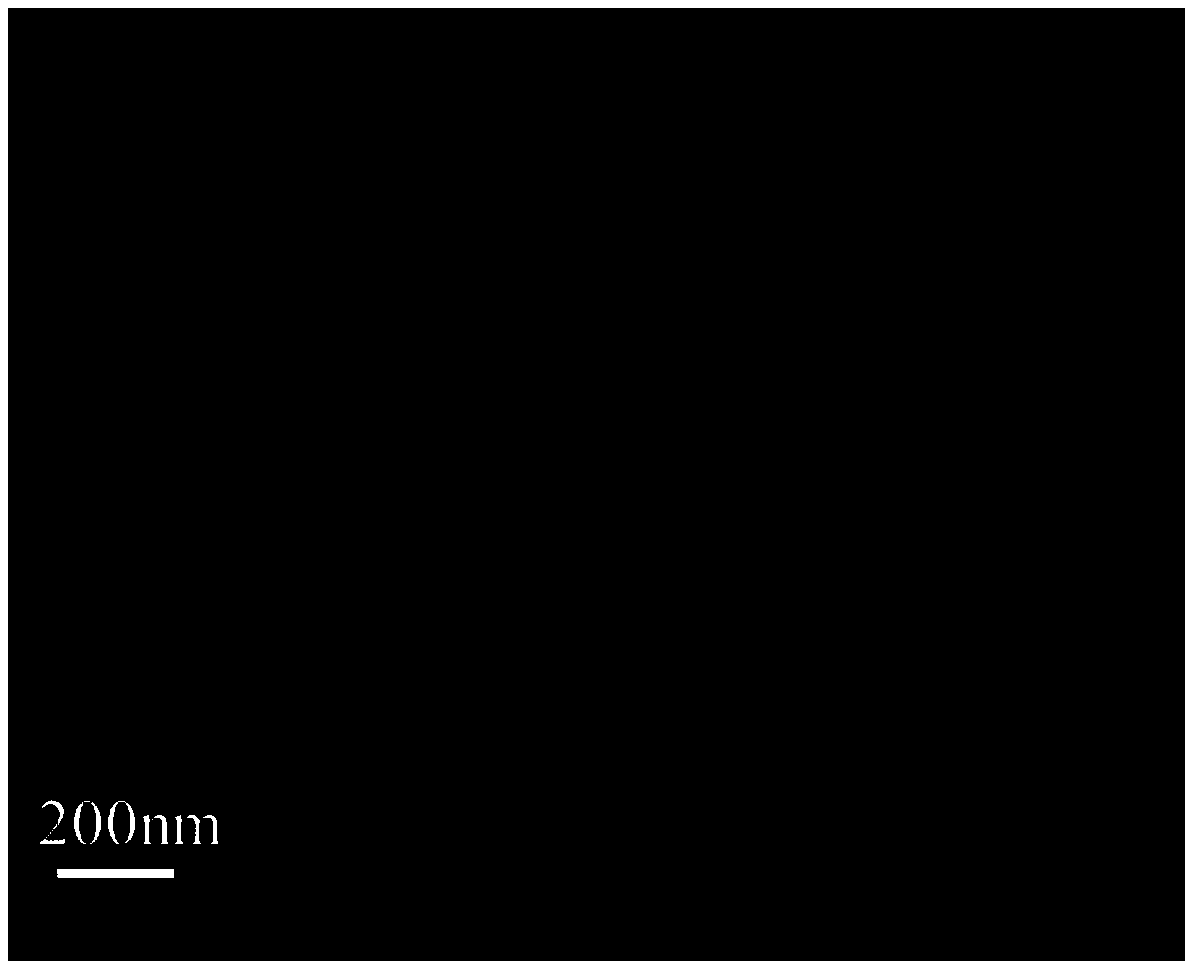 Method for preparing PH response amino-modified three-dimensional dendritic silica nanoparticle carrier carrying hydrophilic small molecule drug