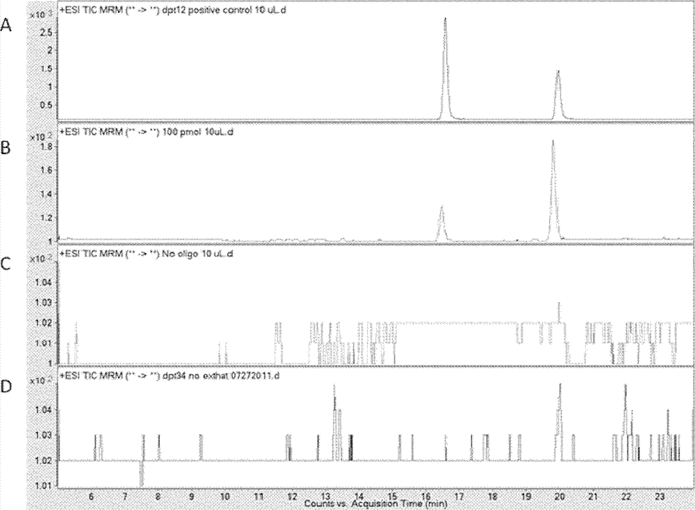 Enzymatic synthesis method for DNA phosphorothioation