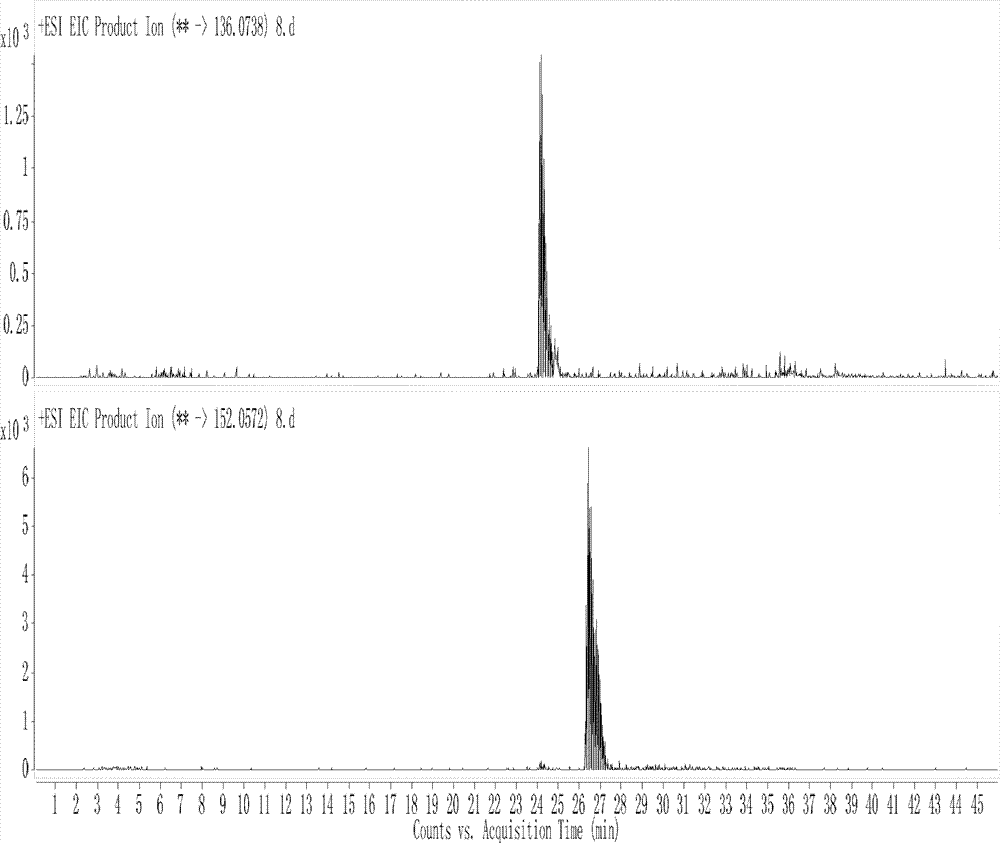 Enzymatic synthesis method for DNA phosphorothioation