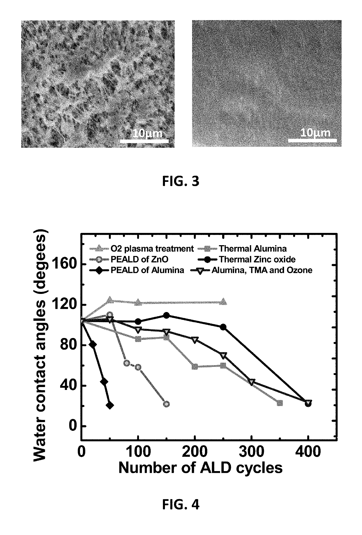 Methods for obtaining hydrophilic fluoropolymers