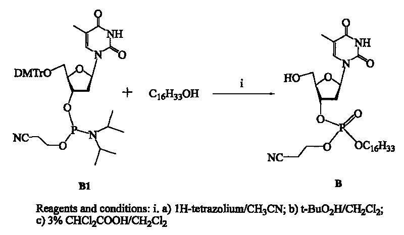 Nucleotide phospholipid molecule and lipidosome and preparation method and application thereof