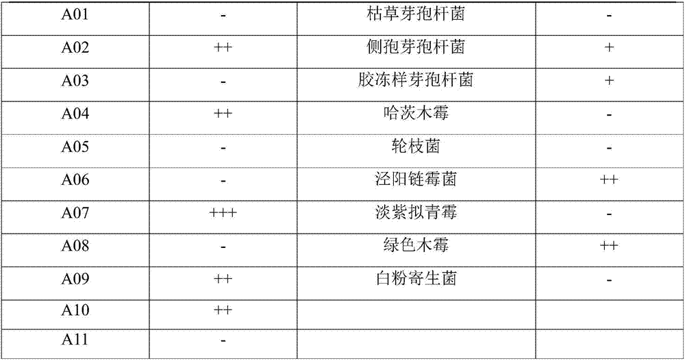 Microbial agent as well as preparation method and application