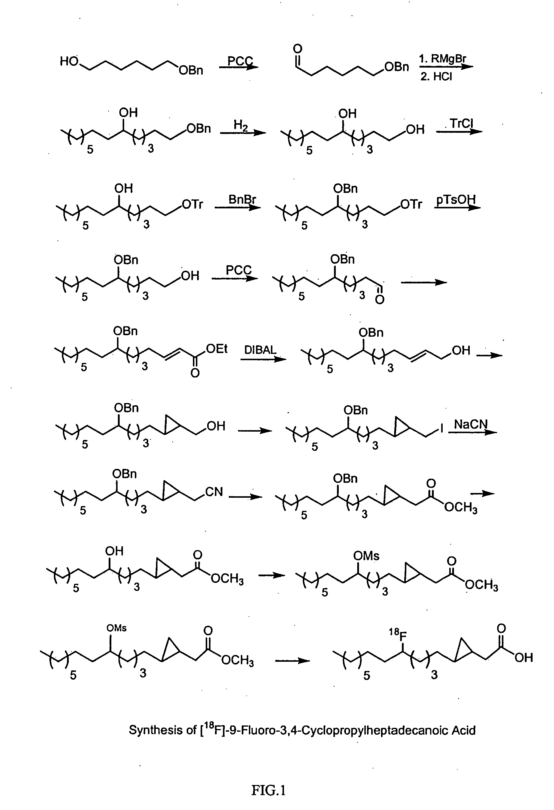 Method for monitoring blood flow and metabolic uptake in tissue with radiolabeled alkanoic acid