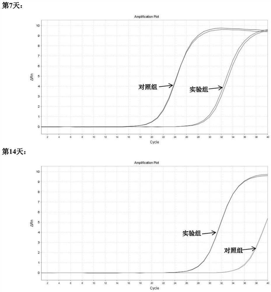 Normal-temperature preservative for free DNA in urine