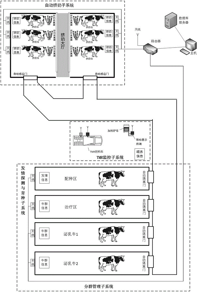 Dairy cattle refined breeding method based on rfid technology