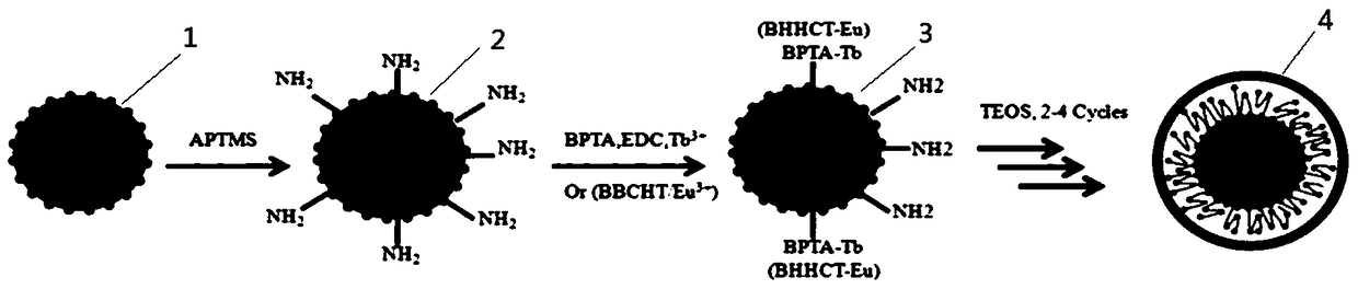 Fluorescent nanoprobe and its preparation method and method for synchronous detection of multiple hazard factors in food