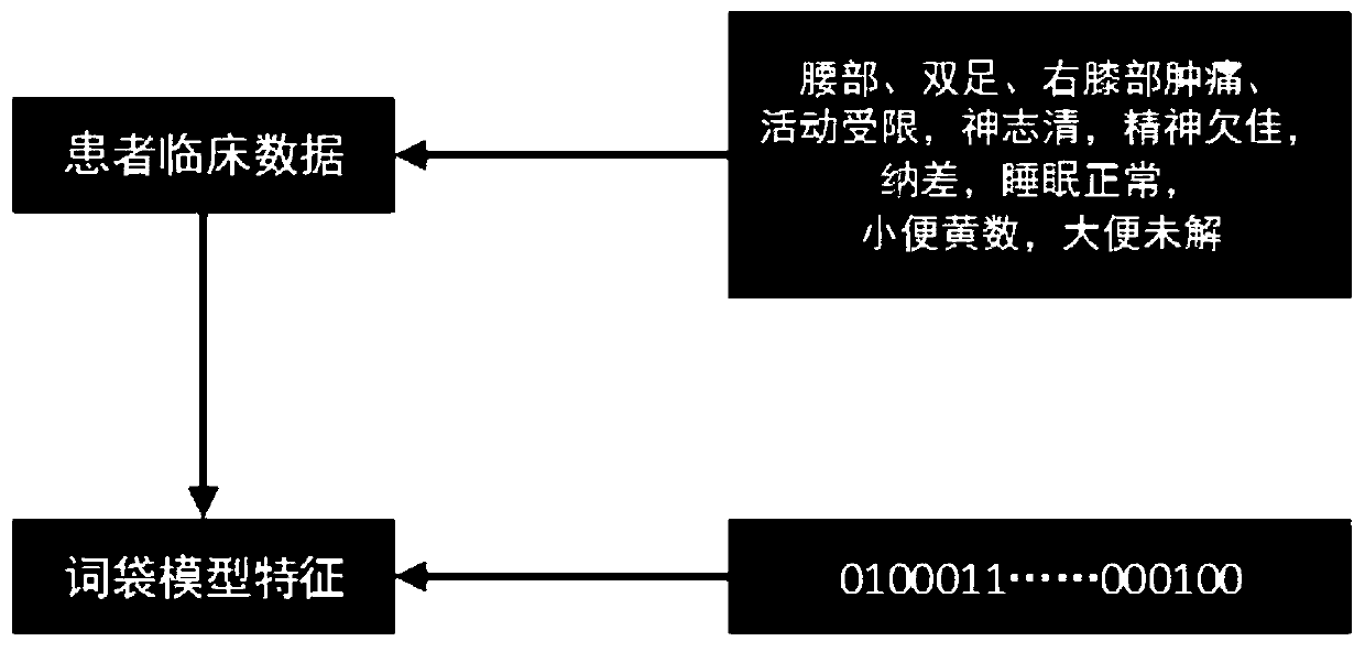 Disease diagnosis and treatment system based on clinical records of traditional Chinese medicine