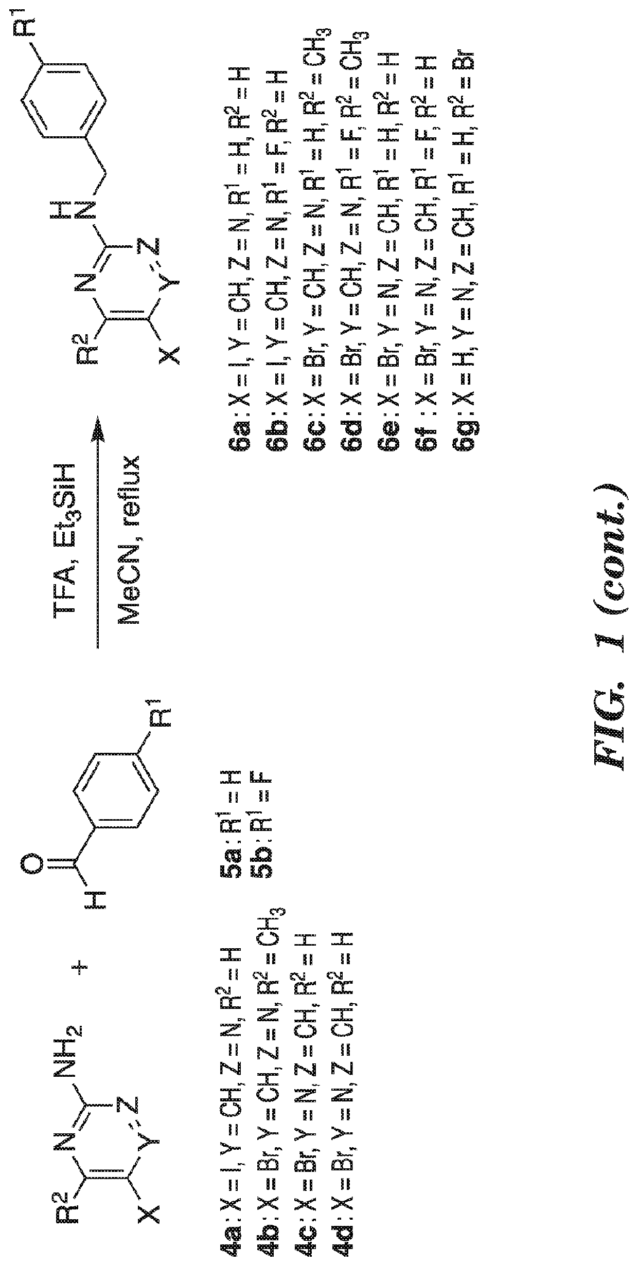 Kinase inhibitor compounds and compositions and methods of use