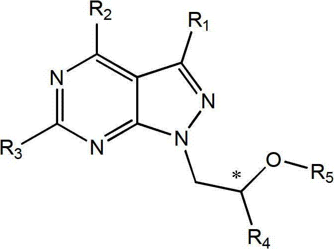 Acyclic nucleotide analogs as well as preparation method and application thereof