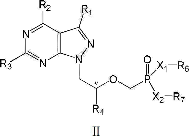 Acyclic nucleotide analogs as well as preparation method and application thereof