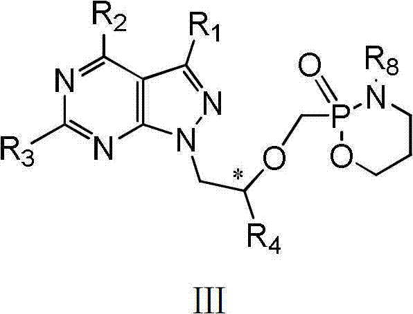 Acyclic nucleotide analogs as well as preparation method and application thereof