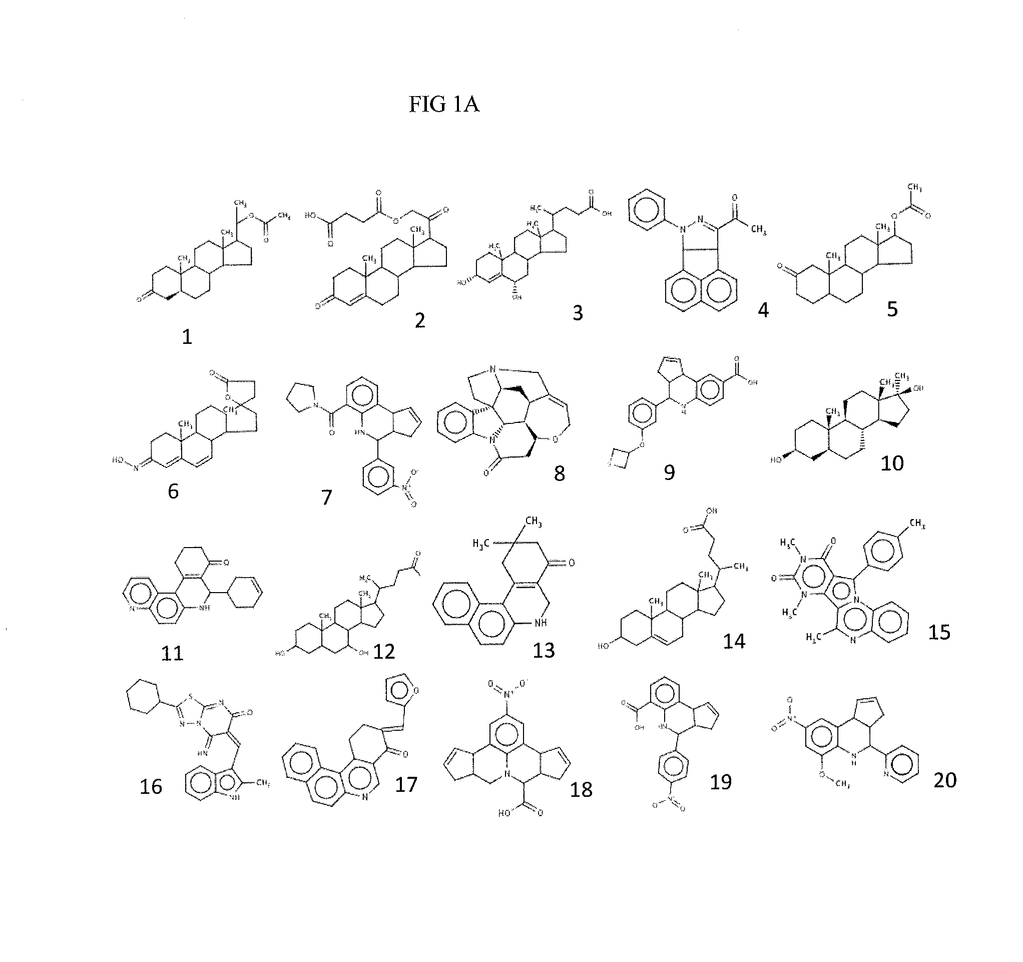 Compositions and methods for inhibiting norovirus infection