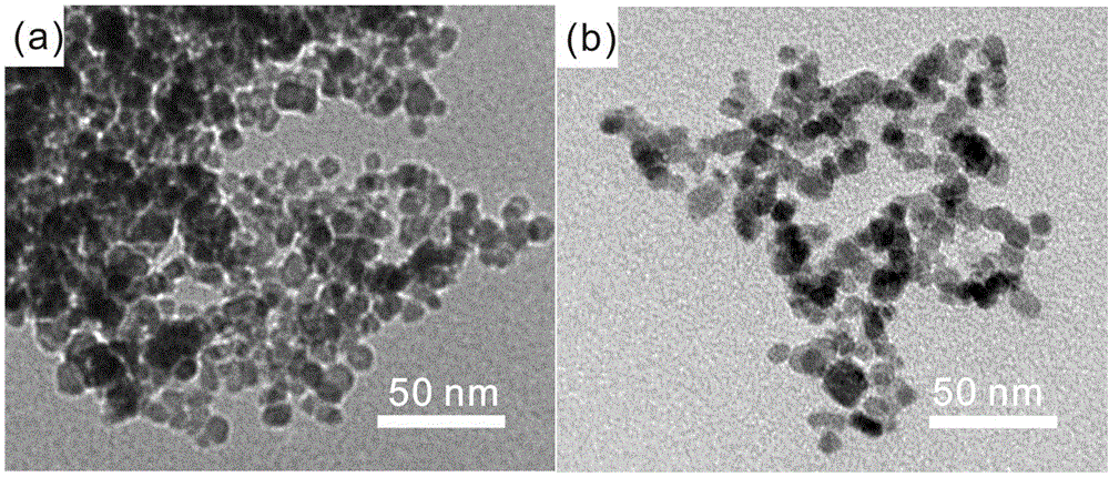 Supergravity preparation method of cysteine modified magnetic nano-material