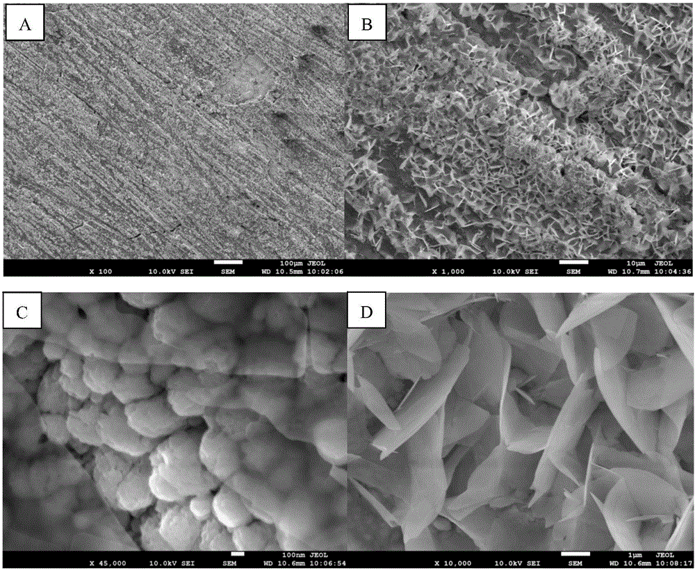 Electrochemical preparation and application method of composite film photocatalyst BiPO4/ BiOCl