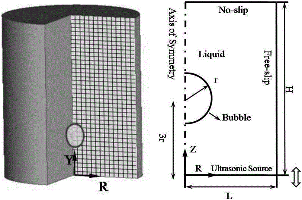 Numerical method simulating ultrasonic cavity dynamics behavior