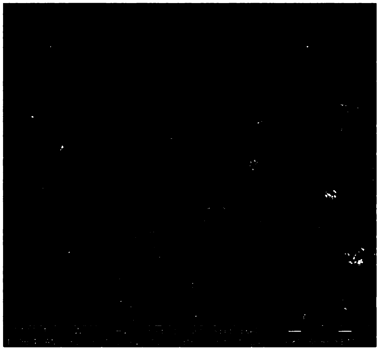 Method for preparing ceramic membrane support body from purified water sludge and prepared ceramic membrane support body