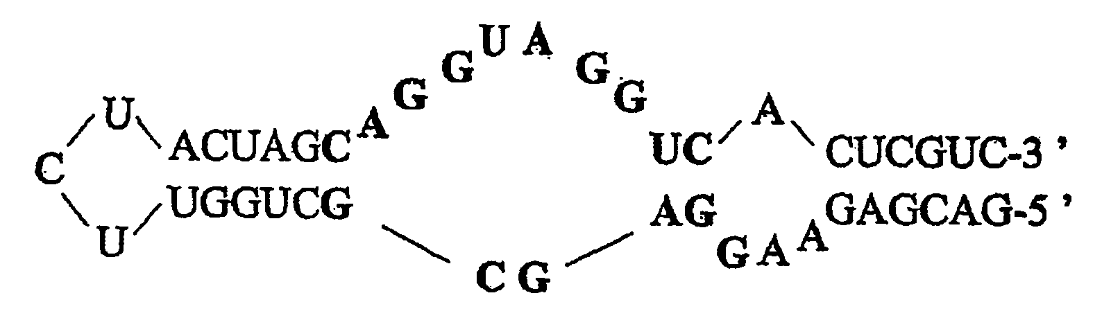 Nucleic acids in the form of specific novel chiral selectors