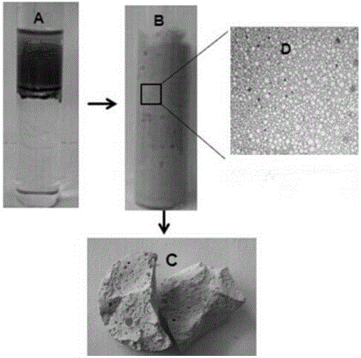 Preparation method of magnetic porous molecularly imprinted polymer