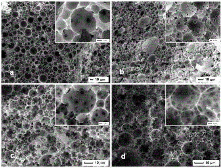 Preparation method of magnetic porous molecularly imprinted polymer