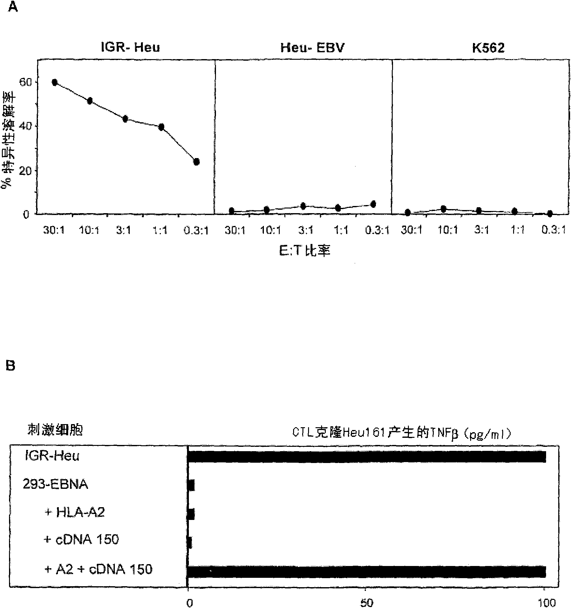 Preprocalcitonin antigen T epitopes