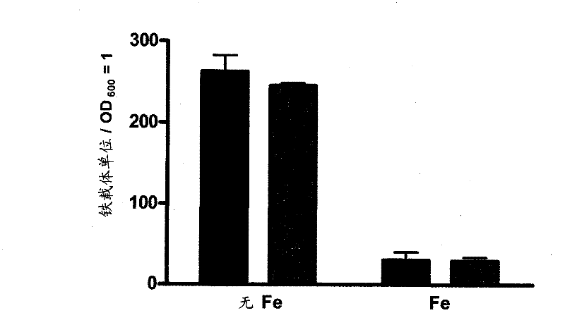 Siderophore-mediated iron uptake in bacterial infection