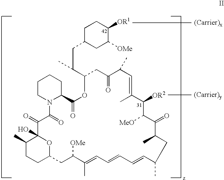Rapamycin conjugates