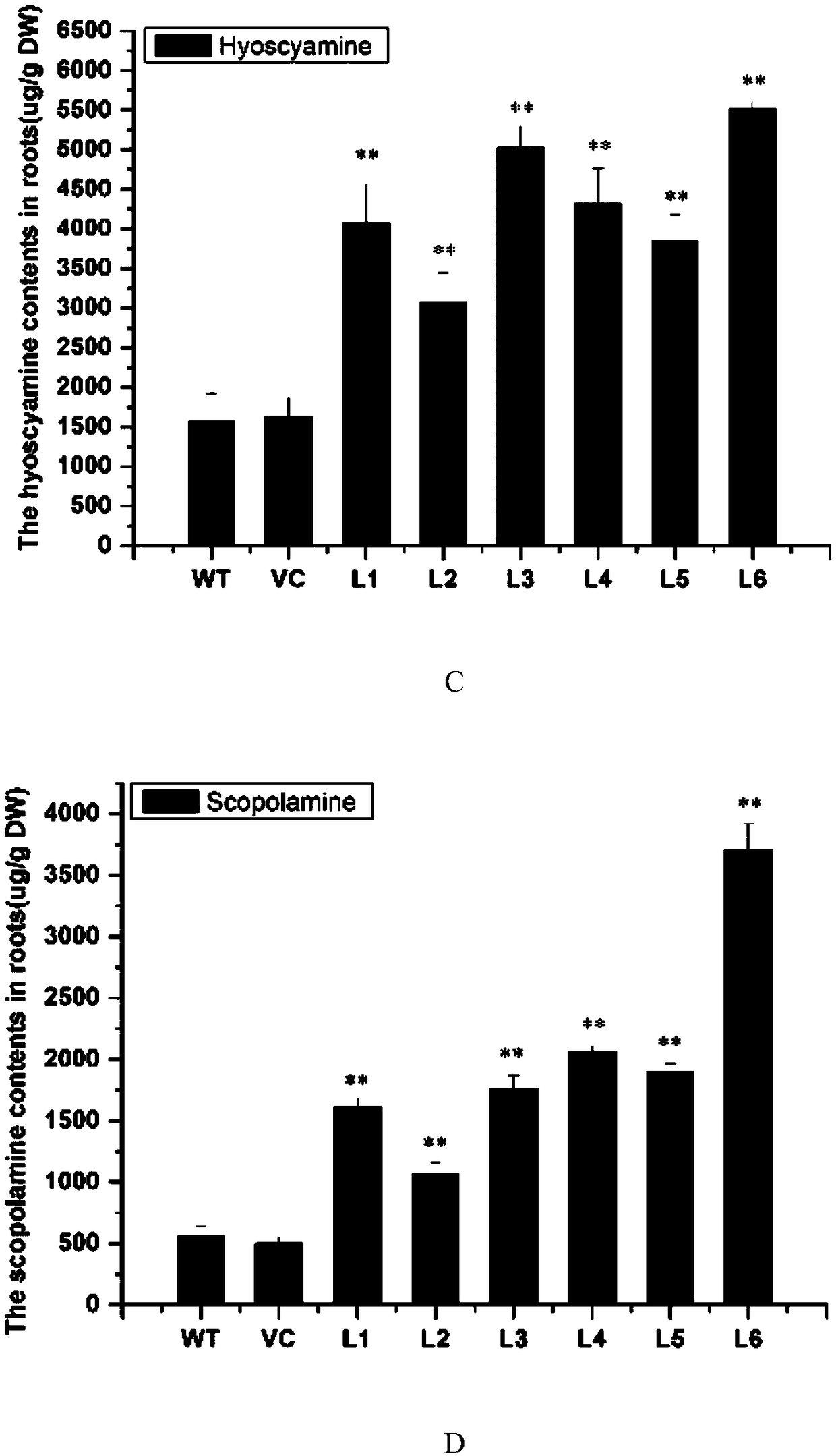 Anisodus luridus ornithine decarboxylase ALODC gene as well as recombinant expression vector and application thereof