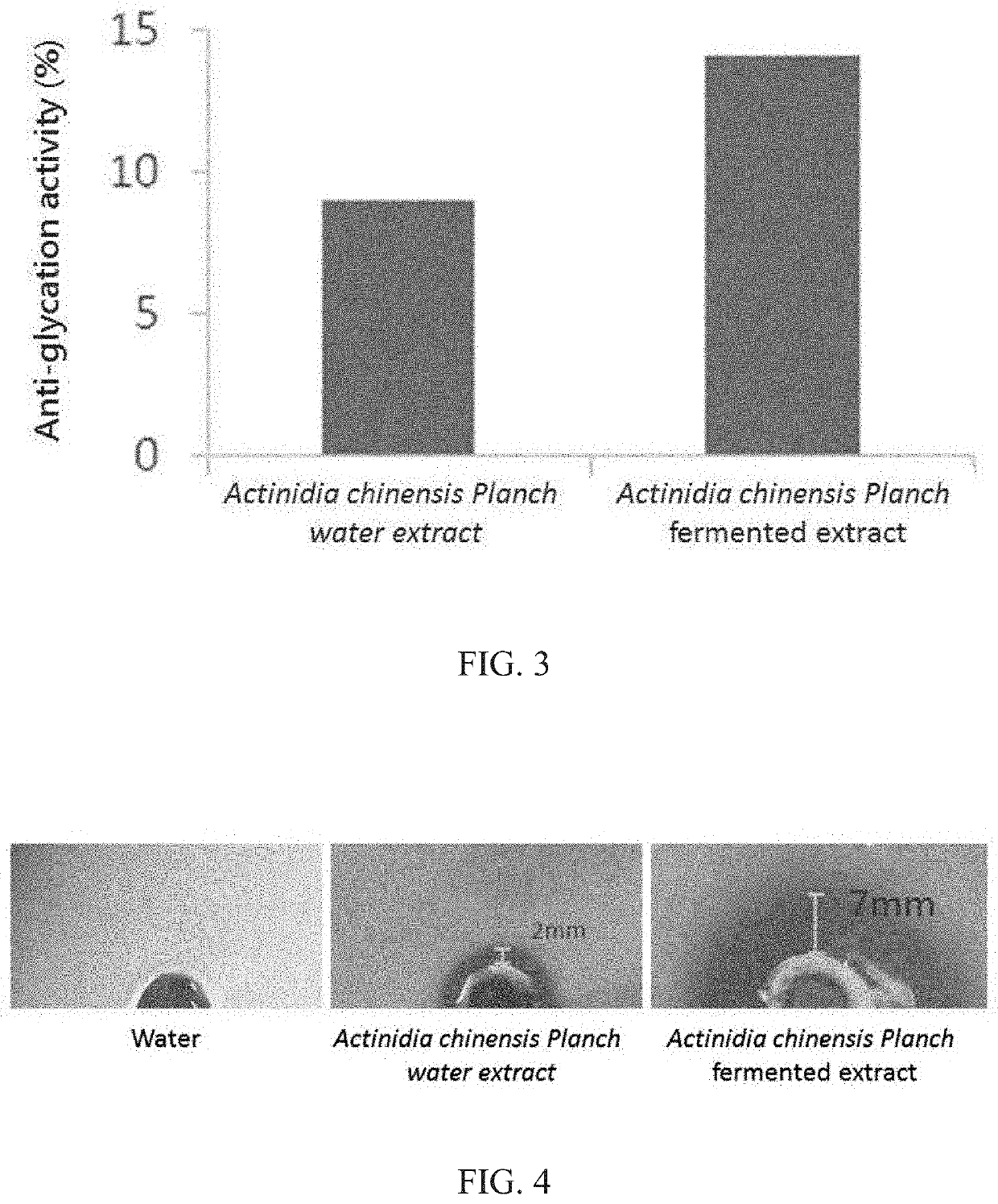 Actinidia chinensis planch ferment and use thereof
