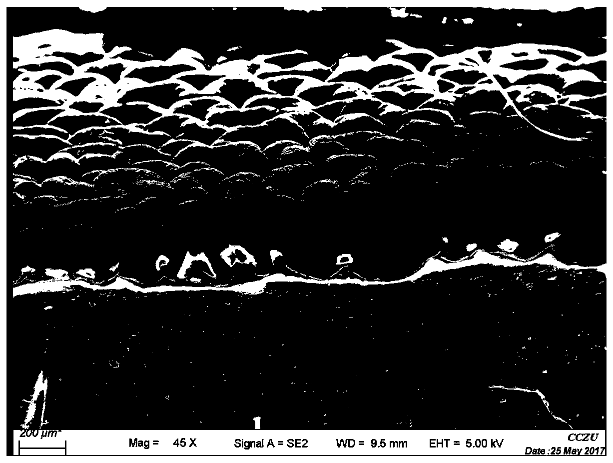 Preparation method and application of a flexible and stretchable sensor array based on bidirectionally pre-stretched elastic substrate and aligned carbon nanotubes