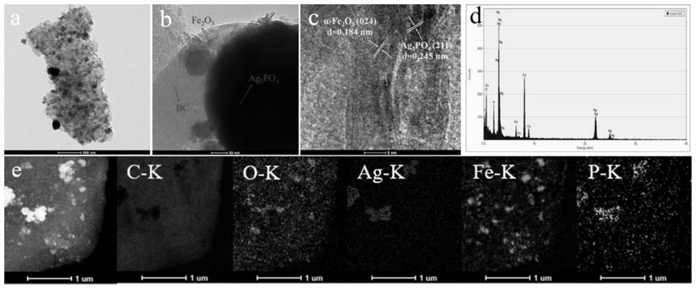 Biochar-mediated Ag3PO4/alpha-Fe2O3 heterojunction visible light catalytic composite material and preparation method thereof