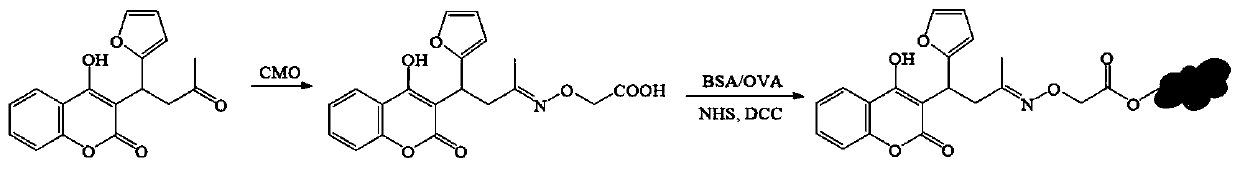 Synthesis method and application of coumafuryl hapten