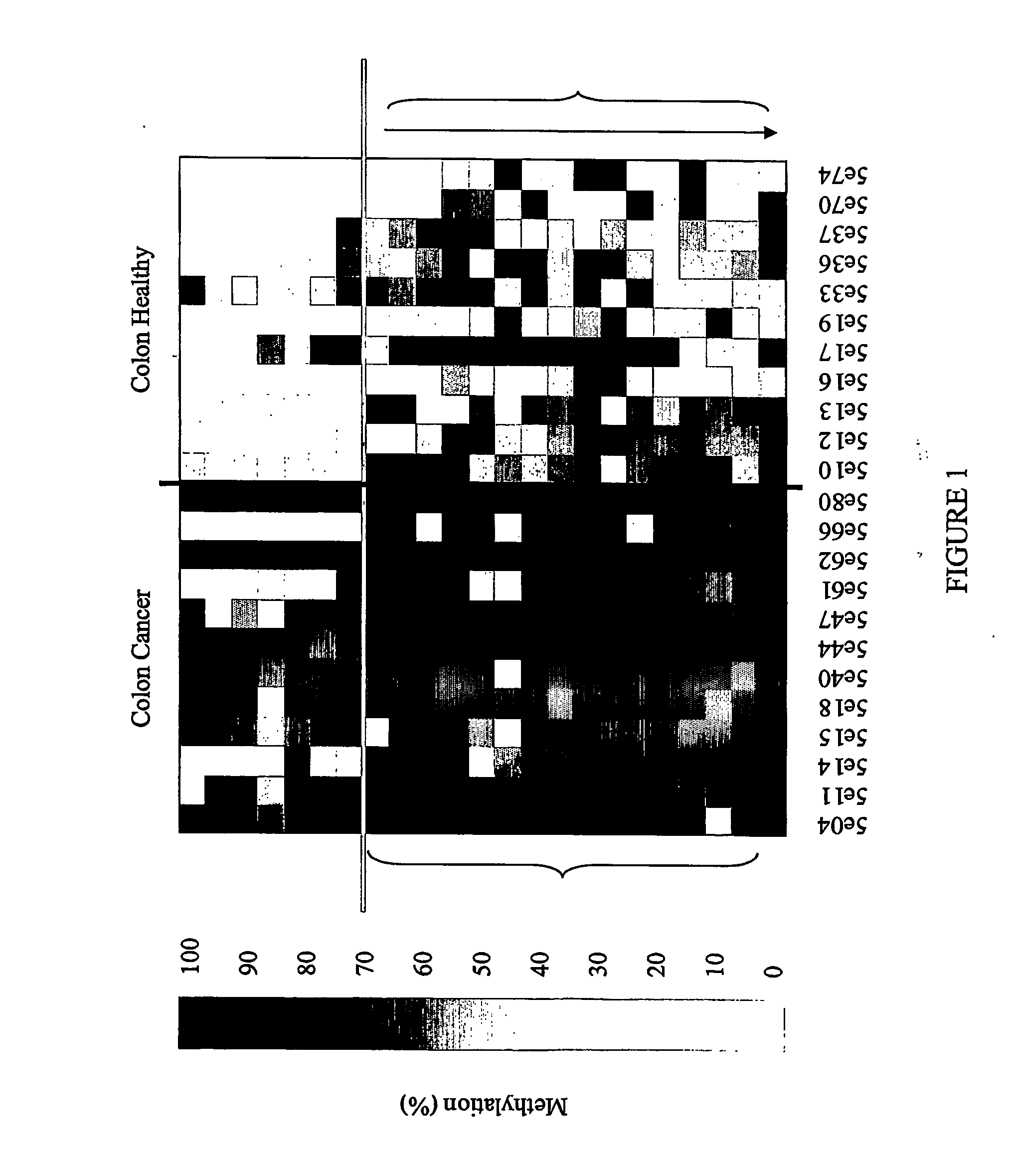 Methods and nucleic acids for the analysis of colorectal cell proliferative disorders