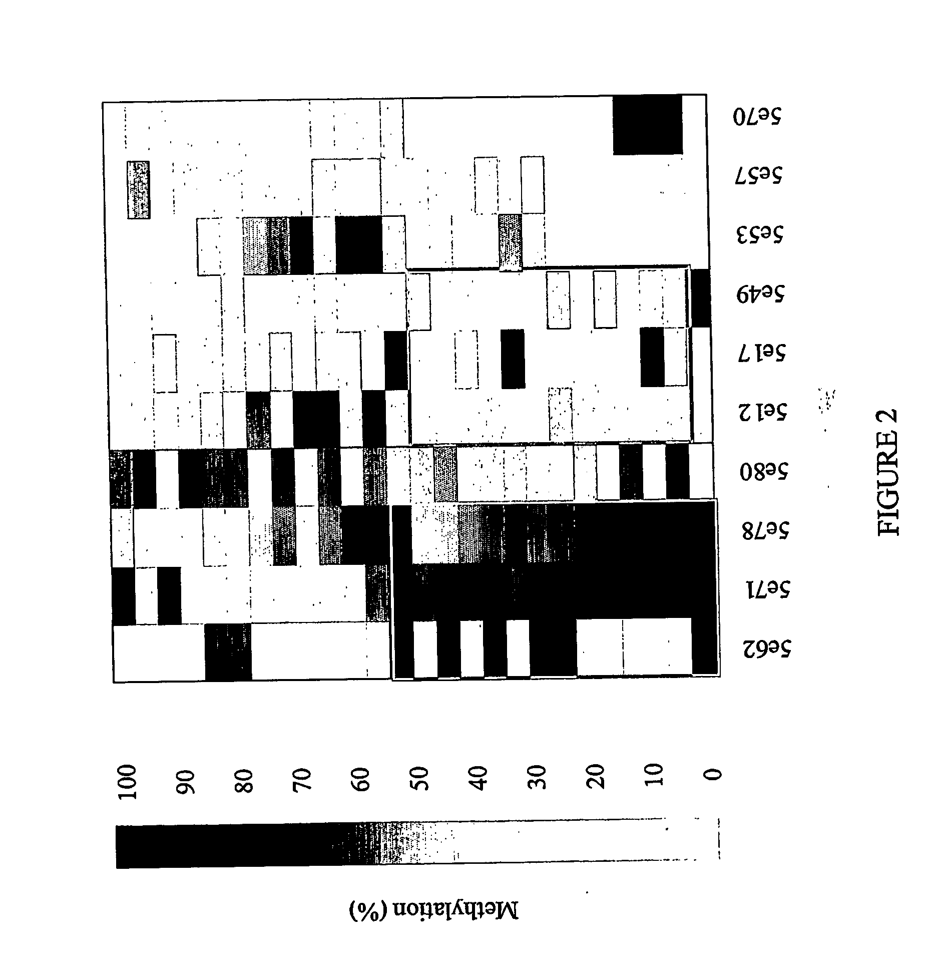 Methods and nucleic acids for the analysis of colorectal cell proliferative disorders